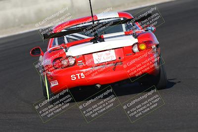 media/Mar-09-2025-Speed SF (Sun) [[8a8bdab083]]/Enduro Race/